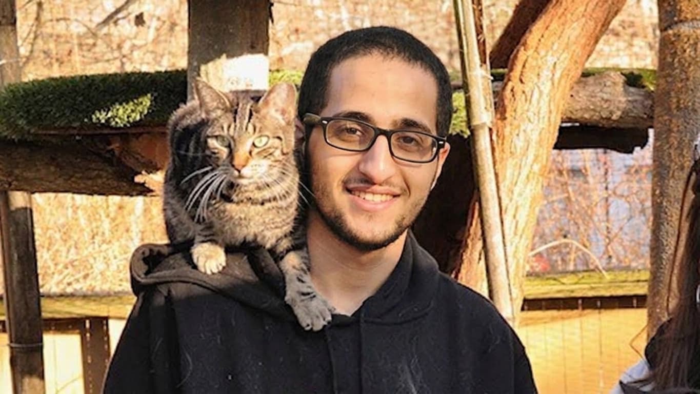 Cats at an animal sanctuary